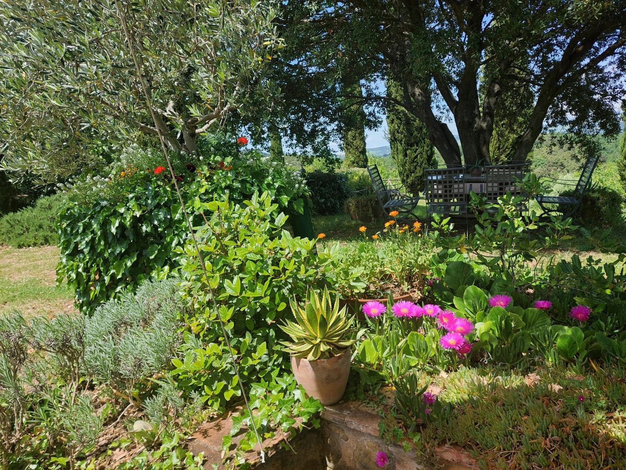 Podere Cerreto Casole dʼElsa Extérieur photo